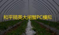 和平精英大闸蟹PC模拟器辅助V1.2.1破解版